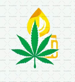 Cannabis Öl
